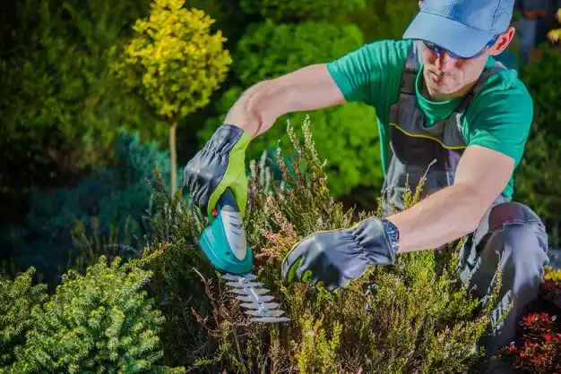 landscaping services Villa Ridge